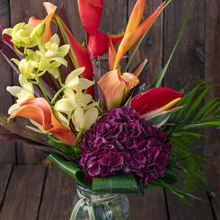 Tropical Autumn