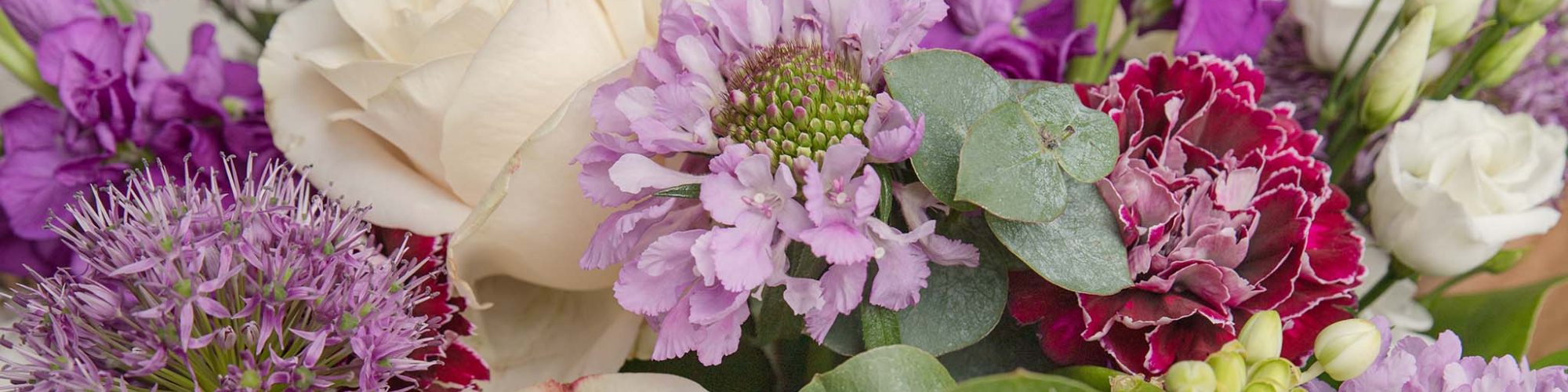 Dundrum Blooms