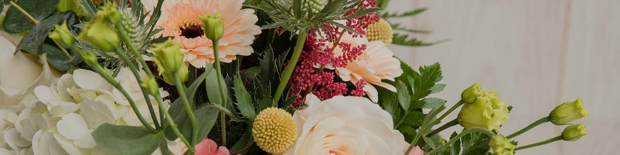 Dundrum Blooms